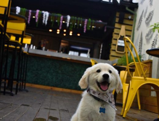 Hostos Beer Garden