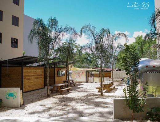 Lote 23