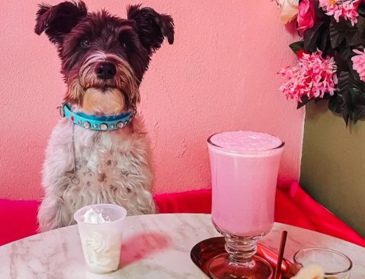 Rosado Coffee