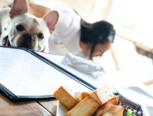 Ekelekua –  Pet Friendly Brunch & Tapas