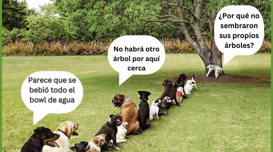 Pet Friendly Tips to Celebrate Earth Day