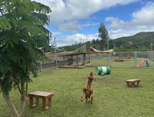 Pachamama Nature Park